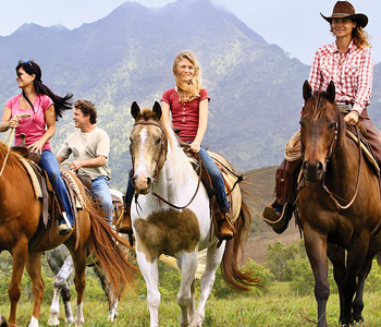 Horse Riding Carlingford