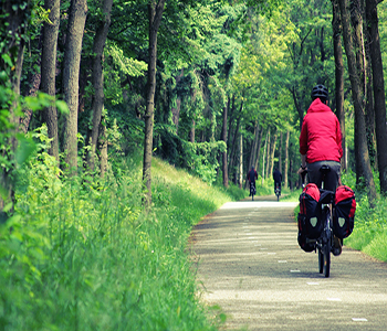 Cycling Paths Carlingford