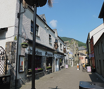 Walking Tour Carlingford