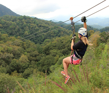 Zip Line Adventure Carlingford